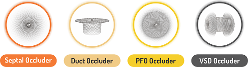 SMT Celebrates 20 Years of the Cocoon Occluder Journey, Transforming Lives in Congenital and Structural Heart Defects SMT Celebrates 20 Years of the Cocoon Occluder Journey, Transforming Lives in Congenital and Structural Heart Defects