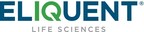 UCB Transforms Safety Operations with Veeva Safety Suite in Collaboration with ELIQUENT Life Sciences, Pinnaxis, and Daelight Solutions UCB Transforms Safety Operations with Veeva Safety Suite in Collaboration with ELIQUENT Life Sciences, Pinnaxis, and Daelight Solutions